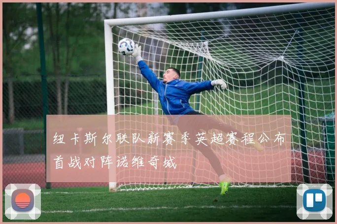 纽卡斯尔联队新赛季英超赛程公布首战对阵诺维奇城