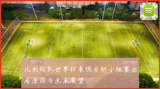 比利时队世界杯表现分析小组赛出局原因与未来展望