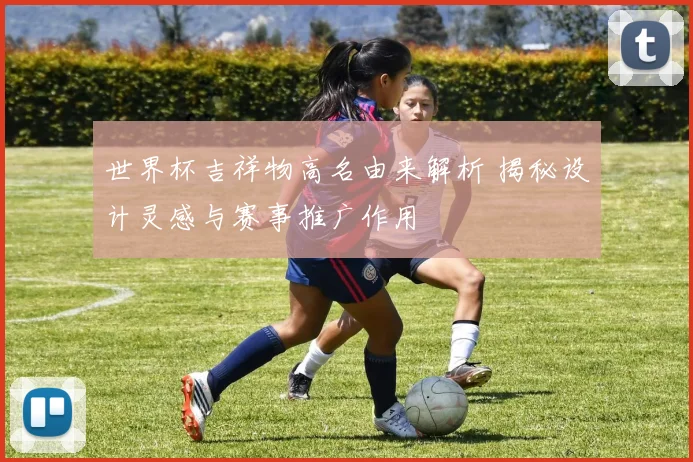 世界杯吉祥物高名由来解析 揭秘设计灵感与赛事推广作用
