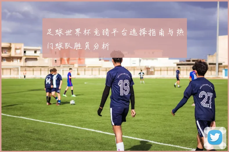 足球世界杯竞猜平台选择指南与热门球队胜负分析