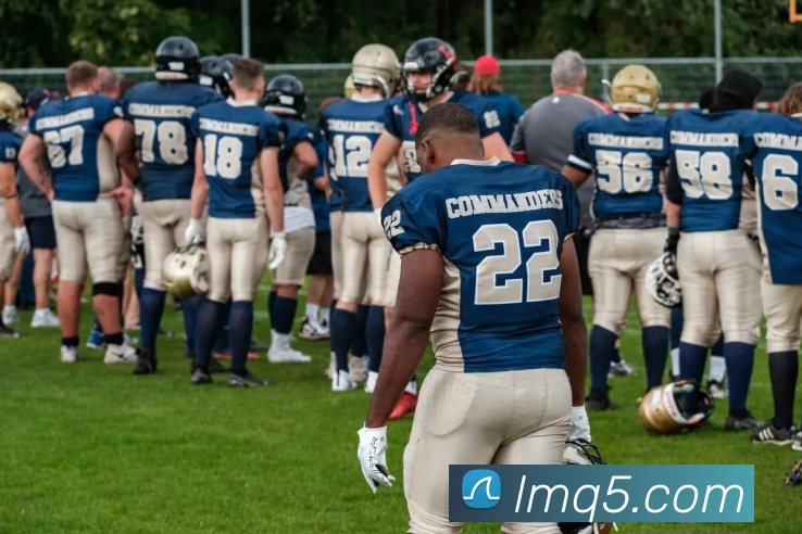 App Interface Preview