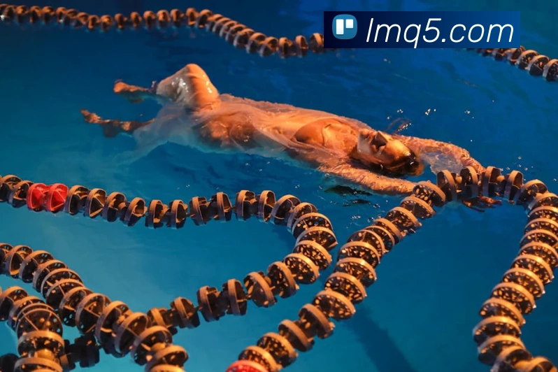 电子pg平台下载官网APP 封面图